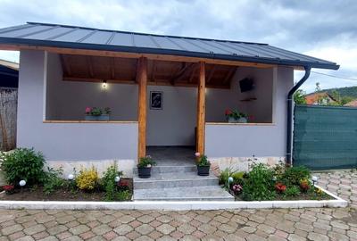 Vila cu 7 camere cu suprafata utila de 404mp spre vanzare in Seica Mare - 2