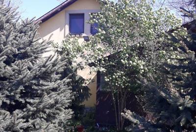 Casă cu 3 camere în Lupșanu - 8