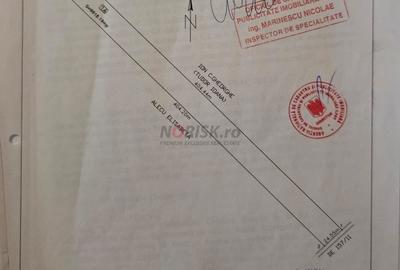 Terenuri Domnesti - 500mp -> 4 Ha - 12