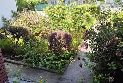 Casă cu 3 camere în Nuci - 19
