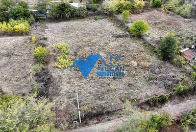 Teren Construcții intravilan de 3044 mp, în Niculițel - 14