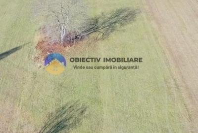 TEREN intravilan  4488 mp - PANGĂRAȚI - 3