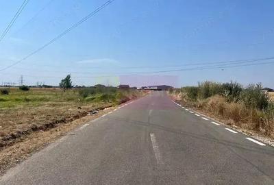 Teren Domnesti- Fortului. - 4