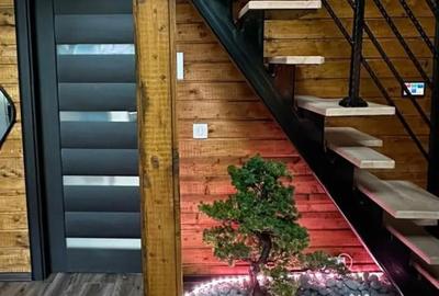 Casă cu 3 camere cu Teren 3000 Mp în Bran - 18