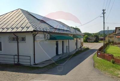 Spatiu comercial central Valea Lunga-Cricov de vanzare 2300 mp teren - 7