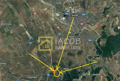 Teren intravilan, 8333 mp, la E85, comuna Secuienii Noi, jud - 1