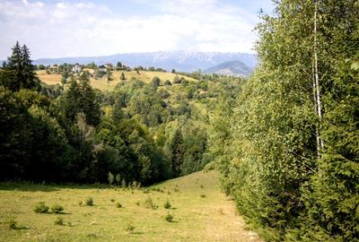 Investitie turistica unica - Bran Sohodol 10131mp-pe traseul Via Transilvanica - 9