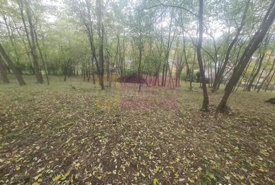 Casă cu 3 camere cu Teren 3410 Mp în Aluniș - 18
