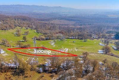 COMISION 0% Teren 3,100mp /Intravilan/ Dumbravita - 5