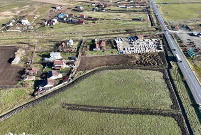Teren de 15000 mp, în Dumești - 4
