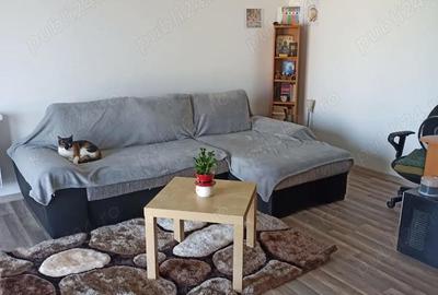 Casă cu 4 camere în Bâcu - 1