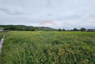 Teren Construcții intravilan de 1495 mp, în Dobreni - 18