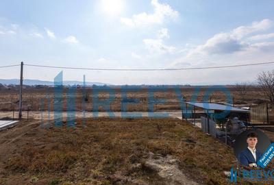 Casa de vanzare, Letea Veche, Sat Siretu - 4