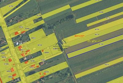 Teren intravilan 5.699 mp Baicule?ti, jud. Arge? - 2