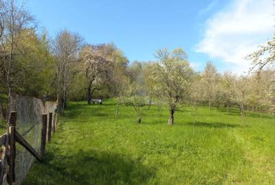 Teren de 1950 mp, în Breaza - 7