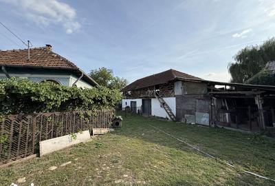 Casă cu 5 camere cu Teren 1754 Mp în Mălureni - 18