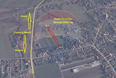 Teren agricol intravilan de 6000 mp, în Turcheș - 1