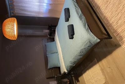 Proprietar Inchiriez Apartament 2 Camere Calea Torontalului - 5