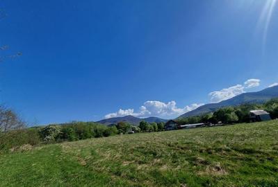 Teren valea Sebesului - 2