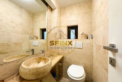 Casa curte proprie Soseaua Alexandriei - 19