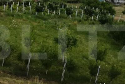 Teren de 723 mp, în Centura - 1