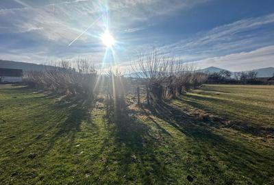 Teren Construcții intravilan de 1080 mp, în Rășinari - 5