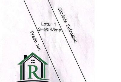 Teren de 9500 mp, în Merei - 1