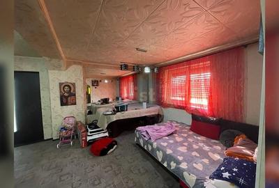 Casă cu Teren 3000 Mp în Dănești