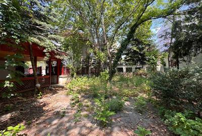 Duplex cu 20 camere cu Canalizare în Unirii - 29