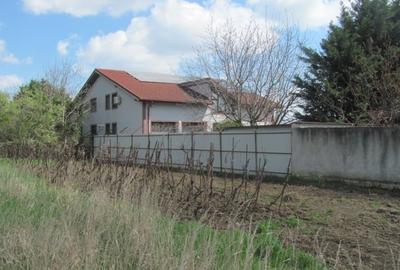 Cornetu - Lalelelor, Stradal - 1