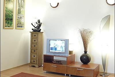 Apartament 2 camere Nicolae Balcescu - 5