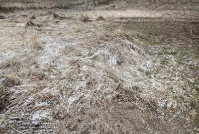 Teren în Dezmir - 1