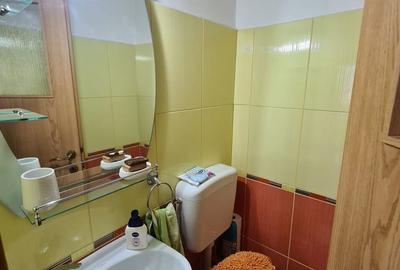 Apartament cu 3 camere decomandat în Nufărul - 11