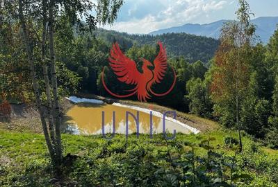 18000 mp de natura pura ,Lupeni, langa Straja 18000 mp de natura pura ,Lupeni, langa Straja - 25