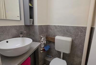 Apartament cu 3 camere semidecomandat în Dristor - 3