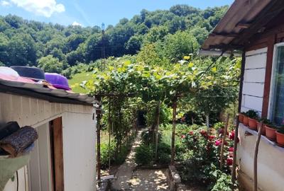 Casă cu 2 camere în Triaj - 3