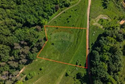 Teren agricol extravilan de 1375 mp, în Cristian - 11