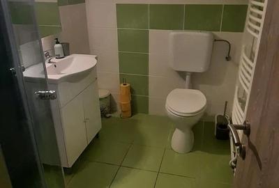 Casă cu Teren 900 Mp în Govăjdia - 6