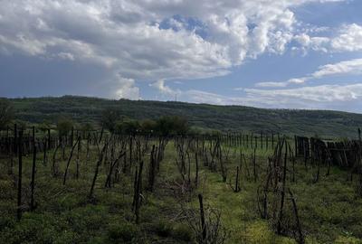 Casă cu 4 camere în Central - 1
