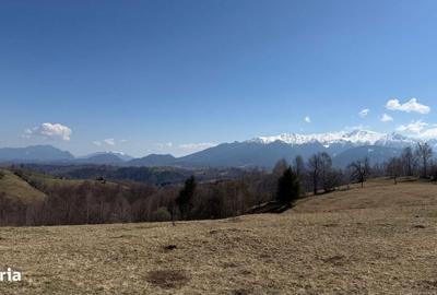 Spațiu comercial, în Peștera - 5