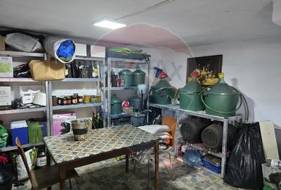 Casă / Vilă cu 5 camere de vânzare în zona George Enescu - 7