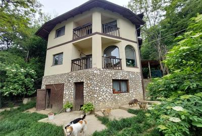 Casa tip D P 1, SISTEM AMVIC, teren 1000 mp, Sarata Monteoru - 8