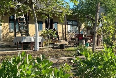 Casă cu 3 camere cu Teren 1167 Mp în Băneasa - 7