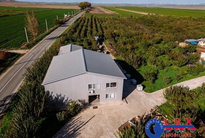 ID 7785 LIVADA SABANGIA DE VANZARE - 14