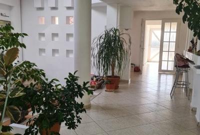 Casa individuala, 325 mp, teren 6475 mp, Vetis, Satu Mare! - 11