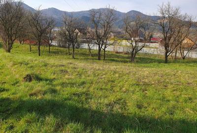 Teren de 1800 mp, în Viișoara - 5