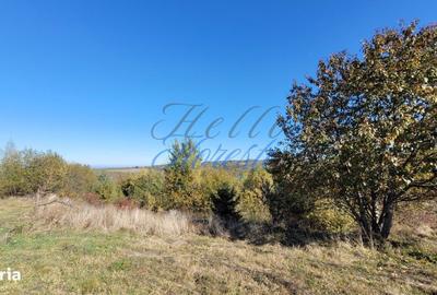 Teren de 4871 mp, în Râșca - 8