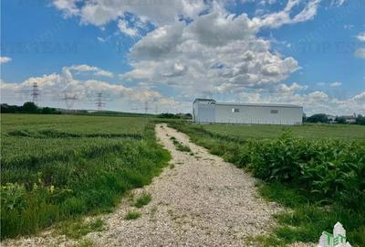 Teren industrial de vanzare pentru hale langa A0 Bragadiru - 3