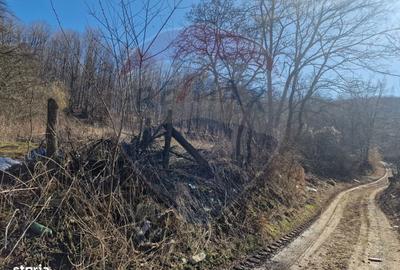 Teren de 4985 mp, în Sascut - 19