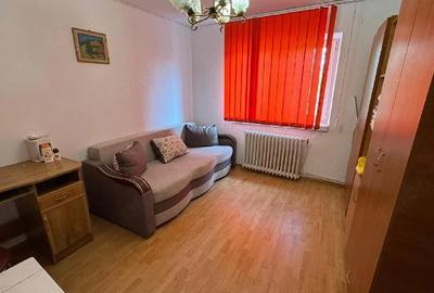 Apartament cu 2 camere decomandat în Cetate - 9